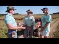 Adaptive Grazing 101: How to Assess Paddock Size and Optimal Stocking Density