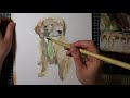 Dapper Pupper || Watercolour and Ink || Watch me paint!