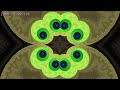 Celtic Fractal Zoom - Apples, spirals and prophets