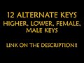 Joshua Bassett - Different Karaoke Instrumental Lower Higher Female Original Key