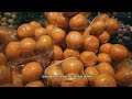 Cinematic Pasar | Cinematic Video