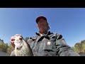 Crappie Fishing with Minnows and Livescope
