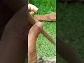 Pipa Rokok Cantik Ranting Bambu | Edisi 160