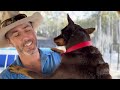 Dog Life at the Farm, Mail Opening, Beach Trip, Wildlife | VLOG | The Farm