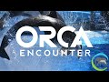 One Song - Orca Encounter Soundtrack SeaWorld