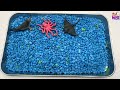 4 Type Small World Diorama For Animals | Sea Farm Bugs Dinos World