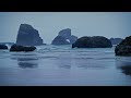 Sounds of the Misty Oregon Coast | Sleep, Study, Meditation 4K