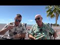 WHAT THEY DON’T TELL YOU- Buying a Property Abroad! Spain, Canary Islands, Tenerife ☀️