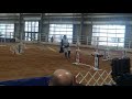 CC 2021 AKC agility nationals - Warm Up