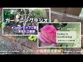 Welcome to gardening channel.Introducing Japan's beautiful flowers.