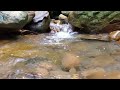 Healing Water sound  | Beautiful Relaxing Music | peaceful music for mind relaxation and sleep