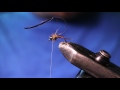 Great Easy Summer Nymph! Fly Tying Tutorial | The Fly Fiend.