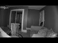 Mary the cat opens the door and escapes room on Ring camera