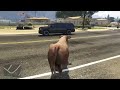 Me transformo en vaca en Gta5 Online!