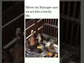 like be for real 🤨 #funnyvideos #workplace #managers #stitch