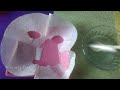 How to make sheet mask at home | DIY homemade sheet mask for face