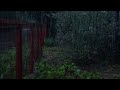 Instantly fall asleep in 3 minutes with the relaxing rain in the foggy forest
