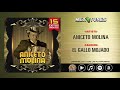 Aniceto Molina - 15 Exitos Inmortales (Disco Completo)