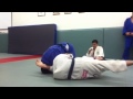 arm bar from back mount, bay area judo