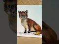 Acrylic Fox painting.
