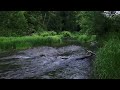 Creekside Meditation-Relax By The Creek With Soothing Ambient Music