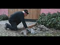 Barn Renovation  - cobblestone placement