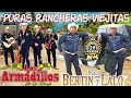 BERTIN Y LALO y LOS ARMADILLOS DE LA SIERRA - Guitarrazos Corridos y Rancheras