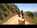 Sunset Ranch Hollywood:  Horseback Riding Experience