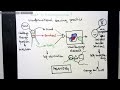 Introduction to the Neurographica transformational drawing practice