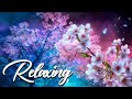 Relaxing Piano Music • Sleep Music, Water Sounds, Relaxing Music, Meditation Music 102