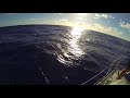 20160620 Dolphins off the bow 1