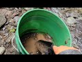 gold prospecting