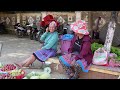 FULL VIDEO: 100 Days Harvesting Fruits and Vegetables Go to market sell - Daily Life | Lý Tiểu Anh