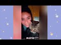 Try not laugh😂 New Funny Cat video 2024 (part 02)🐱