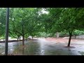 Commonwealth Park Canberra in the rain