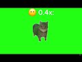 OIIAEAOOIEAA cat green screen normal, sped up, and slowed down.