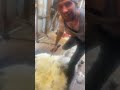 Sunday Arvo Shearing Record