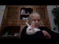 I have new bunnies they are identical, here is one of them