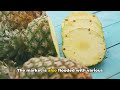 Pineapple Power: Asia's Dominance in Pineapple Production countries China, Indonesia, Philippines,