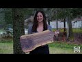 How to Make a Walnut Charcuterie board | Woodworking DIY