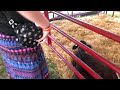 VIDEO0049 cowwwzzz