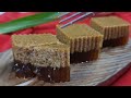 Agar-Agar Santan Gula Melaka Sukatan Cawan | Tips Cantik Berlumut | Puding Hari Raya