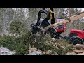 Logset TH65 with Komatsu, action on big spruce 🕴️💀