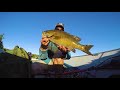 Multispecies Week on the Severn River (I HOOKED Myself!)