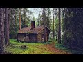 Calm and Relaxing Piano Music - Beautiful Forest Landscape