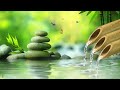 Healing Bamboo Water Fountain, Relaxing Music, Nature Sounds, Meditation Music With Water Sound #4