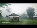 Chill Out with Rain Sounds: Perfect for Sleep, Study, and Just Relaxing