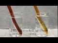 Effect of Temperature on conversion of NO2 to N2O4 (Le Chatelier's Principle)