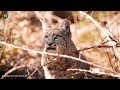 YOSEMITE National Park 4K Ultra HD - Scenic Relaxation Film with Calming Music, Amazing Footage