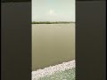 Sukhna Lake chandigar